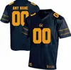 Professional Custom Jerseys Auburn college Jersey Logo Any Number And Name All Colors Mens Football shirts a03878658