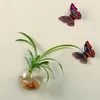Nuovo vaso a sfera di vetro a pentola di fiori in sospeso Terrario a parete Acquario Contenitore 210409