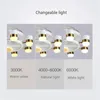 Postmodern Invisible Ceiling Fans with Led Light 8 Heads Dimming Lamp Remote Control 48 Inch 110V 220V