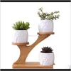 Planters Pots Simple White Succulent Plant Flower Holder Ceramic Owl Pumpkin Pattern Treetop Shaped Bamboo Shelf Pot Planter Set T2654091