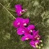 Yapay Lateks Cymbidium Orkide Çiçekler 10 Kafaları Gerçek Dokunmatik Düğün Dekoratif Çiçek için Gerçek Dokunmatik Kaliteli Phalaenopsis Orkide
