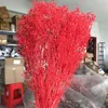 Decorative Flowers & Wreaths 60 G Natural Fresh Breath Dry Preservation Baby Flower DIY Dried Gypsophila Bouquet Home Decoration