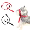 Cat Collar Ledar Leash Dog Justerbar Harness Puppy Dogs Collar Nose Ring Quick-Snap Neck Brap för Walking Training