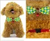 articoli per animali domestici vestiti per cani cani regolabili gatti abbigliamento cravatta fiocco adorabile adorabile dolcezza cravatta al collo