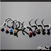 Sieraden kleurrijke zirkoonring roestvrijstalen buds haken staaf pin neu ringen body piercing sieraden ubgr7566417