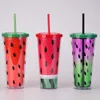 24 oz vattenmelon tumbler plast dubbel vägg sommarfest juice dryck kopp med strån utomhus sport camping vattenflaskor Seaway rra10882