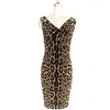 vestido leopardo gato