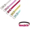 Bright Collar Tow Adjustable Fashion Accesories Anti Losing Rhinestones Inlay Multi Color Traction Pet Dogs Cats Rope Outdoors