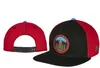2021 Бренд Cayler Son Hatscayler и Sons Snapback Hats Snapbacks Caps Snap задняя шляпа Бейсбол Баскетбол Cap HHH