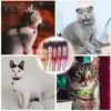 Kedi yakaları 12 adet kurşunlu evcil hayvan yakalı sevimli kedi yavrusu çan ayarlanabilir naylon şerit güvenlik halkası kolye kediler yavru boyun kayışı