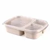 Çanta Organizatör AU Mikrodalga Bento Eşyaları Öğle Yemeği Kutusu Piknik Suşi Konteyner Depolama