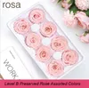 Vermelho Forever Eternal Rose Real Preservado Rosas Flor com caixa de presente para mãe ou amigos Dia dos namorados no atacado 8pcs/pack