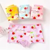 4pcs/Lot Cartoon Panties Cotton Short Pants Girls' Underwear Suit 2-10Years 2558 Q2