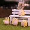 Wystrój zwierząt Gruby Żółty Kot Miniaturowy Figurka Mikro-Krajobraz PVC Ornament Rzemiosły Pot Bonsai Kaktusowe Akcesoria Bajki Garden LLB11962