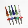 Smoking Glass Kit with Quartz Tips Dab Straw Oil Rigs Silicone Pipes silicon nectar ash catcher