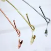 Hooks Rails Rose Gold Underwear Hangers Clothes Prop Single Line Chromed Metal Lingerie Panties Bra Rack Exhibition Coat Hanger With 2 Clips