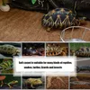 Reptil Teppich Kokosnussfaser Schildkrötenmatte für Haustier Terrarium Liner liefert Eidechse Schlange Chamäleon Teppiche