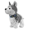 Interaktywny pies Elektroniczny Pet Whiped Plush Toy Control Walk Sound Husky Reaguje dotyk