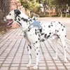 ペット犬ハーネスベストソフトライニング調節可能な反射媒体ラージドッグハーネスカラー通気性歩行トレーニングハーネス210729