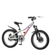 20 Zoll Kinder-Mountainbike aus Aluminiumlegierung für Jungen und Mädchen, Cross-Country-Fahrrad mit variabler Geschwindigkeit, Rennräder