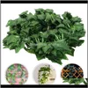 Decorative Flowers Wreaths Festive Party Supplies Garden12Pcs Fake Foliage Vines Hanging Simulation Ivy Leaves Rattan For Home O7610800