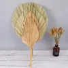 1pcs Palm Fan Leaf Dried Flower Window Reception Party Art Wall Hanging Decoration Wedding Arch Arrangement Decorative Flowers W7299049