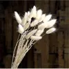 50Stems Rabbit Bunny Tail Grass White Pink Color Natural Dried Flowers Bouquet Pampas Grass Christmas Wedding Flowers Decor 211122