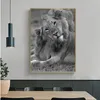 Современное животное плакат холст искусства стены картина серый лев покраска HD печать для гостиной дома украшения курора Cuadros без рамки