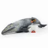 Tomy 30cm Simulation Créature marine Modèle de baleine Modèle de baleine gris PVC Figure modèle Toys X11061581207