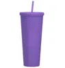 24oz Starbucks Rainbow Mugs Coffee Mug with Straw Insulated Plastic Cup