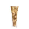 newbiodegraderbar bambu halmpapper Gröna stråar Eco Friendly 25 st Mycket på Promotion Ewe5743