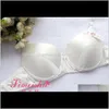 Pure BH Double Faced Real Silk Wire Spons Thin 100 Mulberry BRAS 34754295AB T5C4L T2DKS