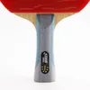 Racchetta da ping pong DHS 6002 con brufoli approvati ITTP in gomma da ping pong FL manico DHS ping pong paddle 2012098047100