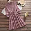 Robe Femme Spring aument vintage Vestidos女性エルビーズカジュアル緩い長袖の葉のリボン付きのドレス