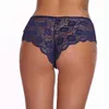 Temptation Eyelashes Low-waist Lingerie Panties Sexy Women Lace Transparent Soft Briefs For Female Underpants 211208