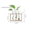 Wazony domowe rurki z testu twórczego szklane sadzarki terrarium wazon kwiatowy z drewnianą propagacją uchwytu hydroponiczne Ozdoby rośliny 4803305
