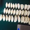 Имитация ручной работы в пельмени Gyoza Maker Empanada создает машину Mini Jiaozi обертки оборудования