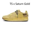 1 Cactus Jack TS x Baroque Cave Stone Saturn Gold mens Running Shoes Kiss of Death Bred CHA Evergreen Aura 1s Magma Black Schematic men women trainers Sports Sneakers