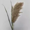 20 stks Pampas Grass Christmas Decorations Flower Bunch