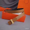 Trend 2,4 cm brede riemen voor dames Luxe designer riem Heren Klassieke letters Gesp Gordel Veelzijdig 5 kleuren Eenvoud Belts210j