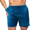 Men's Shorts Double Layer Beach Pants The Hydrofoils Supply Elastic Drawstring Waist High Stretchy Fabric Swimming XIN-