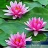 Dekoracyjne kwiaty wieńce 20cm sztuczne pływające pianka Lotus liście Fake List Staw Decoration Pack of 101 Cena fabryczna Ekspert Projekt Quality Najnowsze styl
