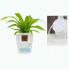 Creative Self-Watering Flower Pot Colourful Plastic Modern Decorative Planter Home Office Desk Decoration Planters & Pots