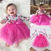 Meninas vestidos 2019 adorável meninas rosa tops e vestido rosa com roupas vestido crianças outono crianças vestidos vestidos de roupas de queda Q0716