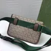 Beige Ebony Canvas حقائب الخصر للجنسين Neo Vintage Belt Belt Bag Green Red Stripbon Men Laptop Crossbody Wallet Multi Pochett241o