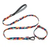 Collare per cani personalizzato Set guinzaglio Targhetta identificativa stampata personalizzata Collari per cani in nylon Guinzaglio per guinzaglio Collare con targhetta per animali domestici inciso Pitbull 210729