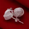 Fabrikspris Enkel design härlig trevlig silverfärg örhänge smycken för kvinnor dam stud bröllop e013