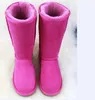 Hot sell AUSG classical style tall 5815 women snow boots keep warm boot kenn womens boots Free transshipment for U tag