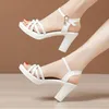 Sandals Small Plus Size 32 33-43 Block Heel Platform Summer 2021 Elegant Office All Math High Heels For Women Black