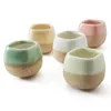 5 In Set 2.2 Inch Container Planter Ceramic Flowing Glazuur Five Color Base Serial Set Succulent Plant Pot Cactus Bloem Pot Gift 210922